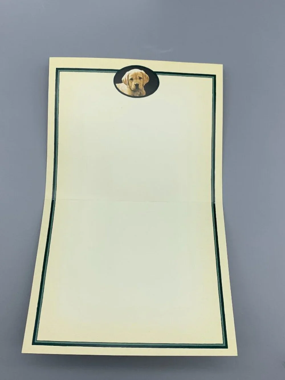 NEW Box Lang Lab Note Cards with Envelopes and Yellow Lab Book